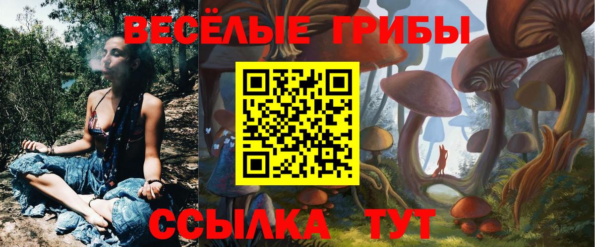 сколько стоит  Вход с VPN  Ефремов  Галлюциногенные грибы Cubensis  Галлюциногенные грибы GOLDEN TEACHER 