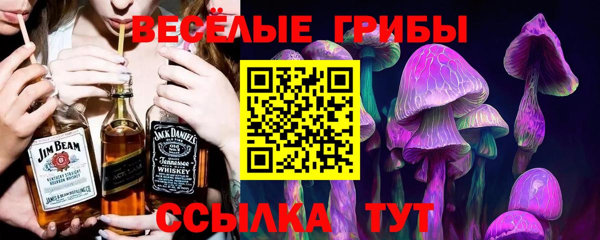 Галлюциногенные грибы мицелий Ефремов